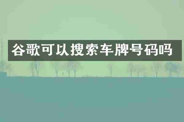 谷歌可以搜索车牌号码吗