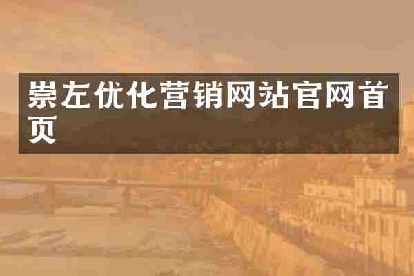 崇左优化营销网站官网首页