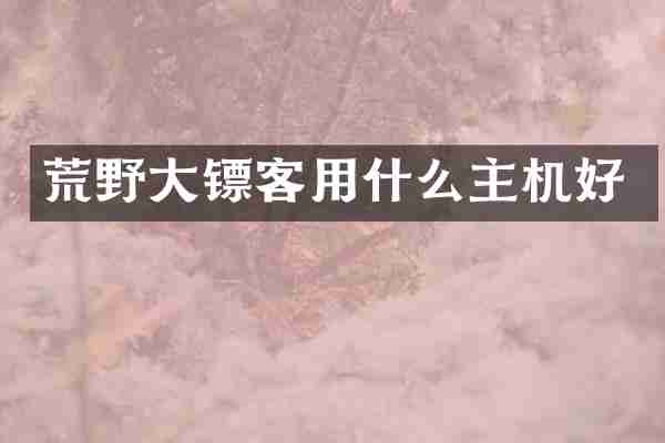荒野大镖客用什么主机好