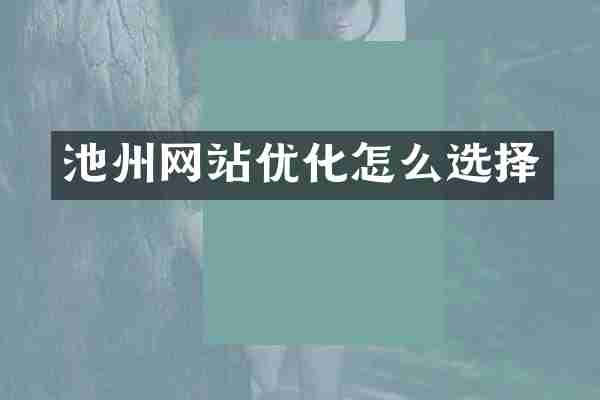 池州网站优化怎么选择