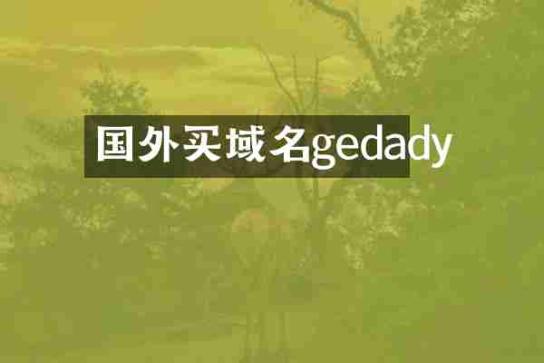 国外买域名gedady