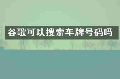 谷歌可以搜索车牌号码吗