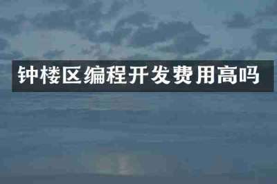 钟楼区编程开发费用高吗
