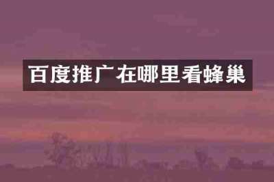 百度推广在哪里看蜂巢