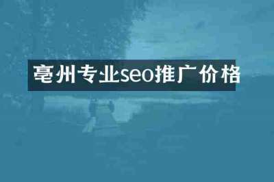 亳州专业seo推广价格
