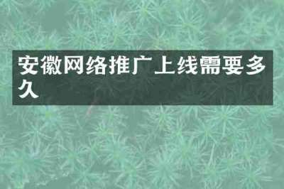 安徽网络推广上线需要多久