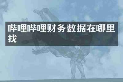 哔哩哔哩财务数据在哪里找