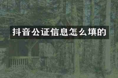 抖音公证信息怎么填的