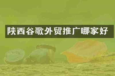 陕西谷歌外贸推广哪家好