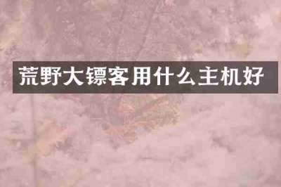 荒野大镖客用什么主机好