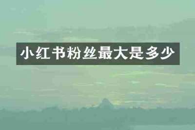 小红书粉丝最大是多少