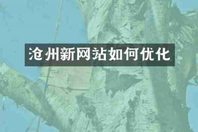 沧州新网站如何优化