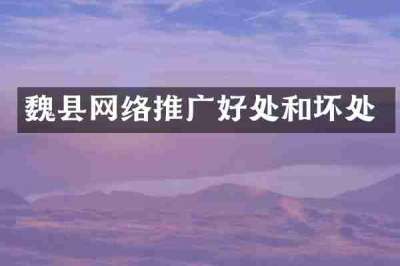 魏县网络推广好处和坏处