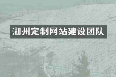 湖州定制网站建设团队