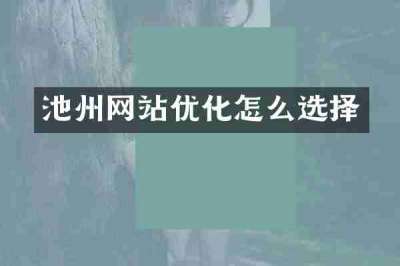 池州网站优化怎么选择