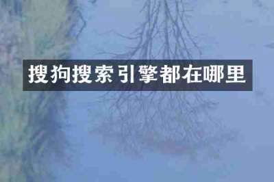 搜狗搜索引擎都在哪里
