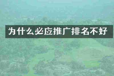 为什么必应推广排名不好