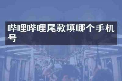 哔哩哔哩尾款填哪个手机号