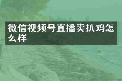 微信视频号直播卖扒鸡怎么样