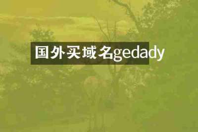 国外买域名gedady