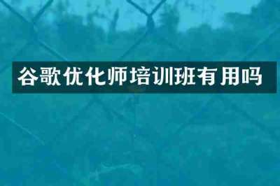 谷歌优化师培训班有用吗