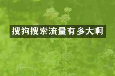 搜狗搜索流量有多大啊