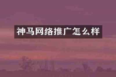 神马网络推广怎么样