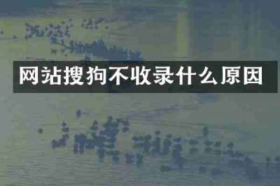 网站搜狗不收录什么原因