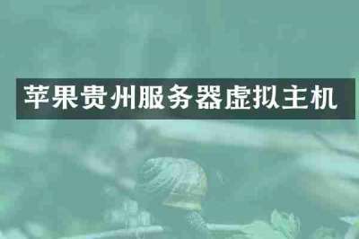 苹果贵州服务器虚拟主机