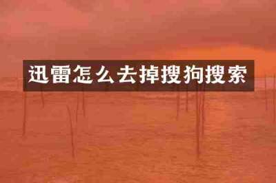 迅雷怎么去掉搜狗搜索