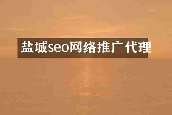 盐城seo网络推广代理