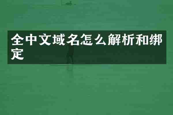 全中文域名怎么解析和绑定