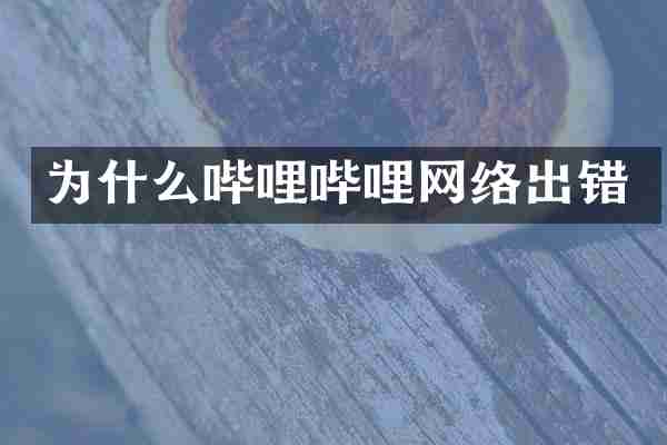为什么哔哩哔哩网络出错