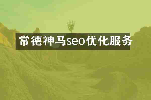 常德神马seo优化服务