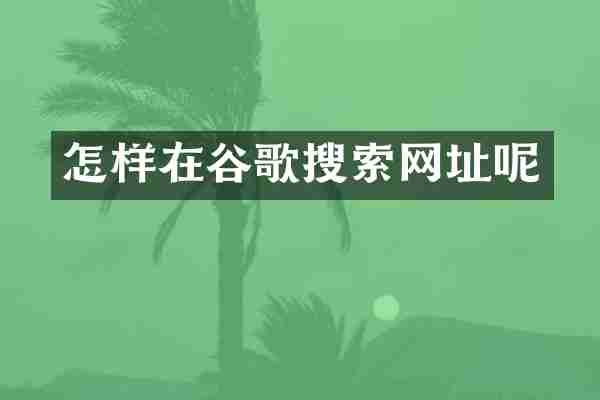 怎样在谷歌搜索网址呢