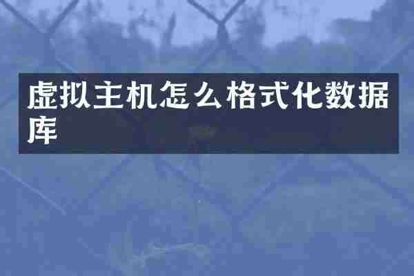 虚拟主机怎么格式化数据库