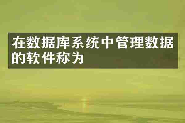 在数据库系统中管理数据的软件称为