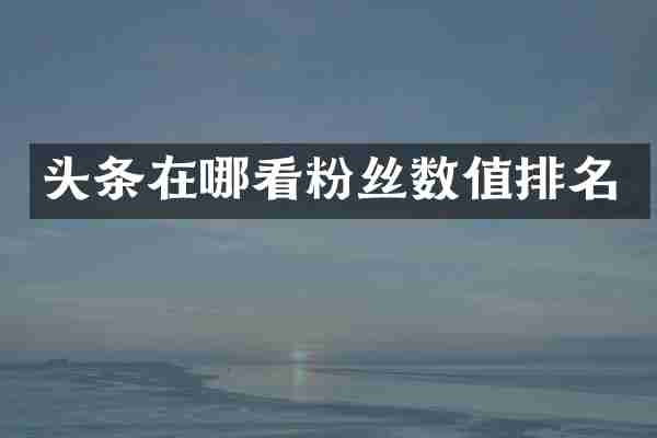 头条在哪看粉丝数值排名