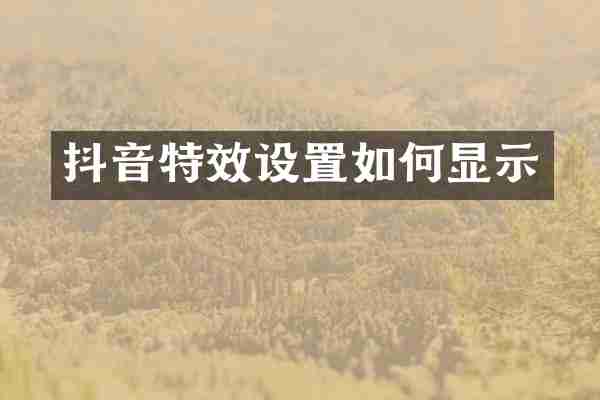 抖音特效设置如何显示
