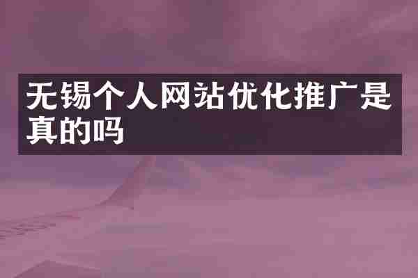 无锡个人网站优化推广是真的吗