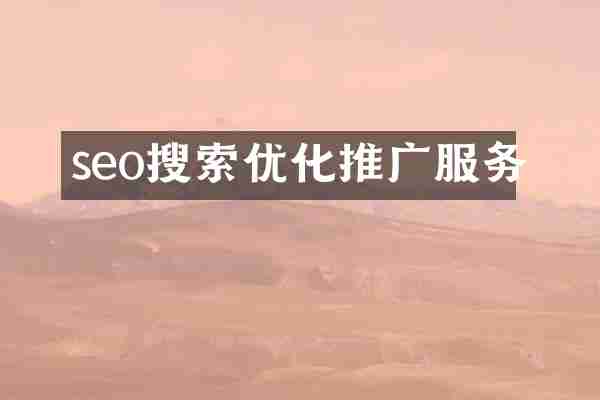 seo搜索优化推广服务