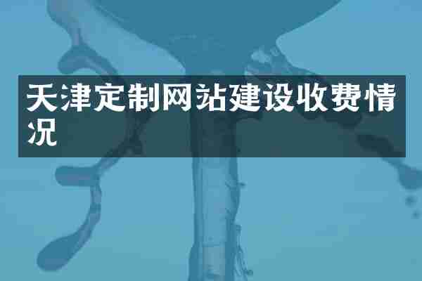 天津定制网站建设收费情况