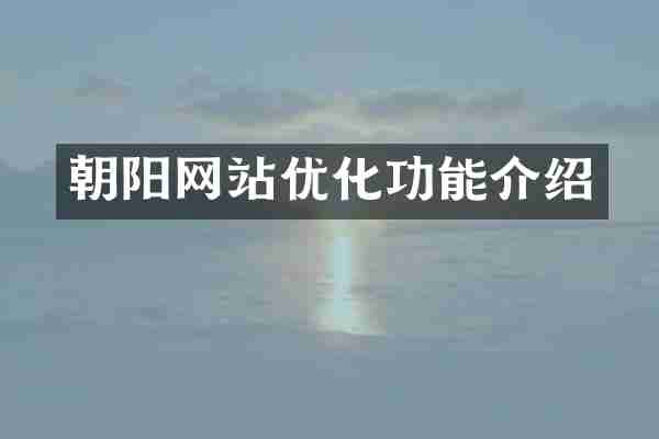 朝阳网站优化功能介绍