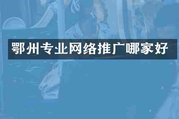 鄂州专业网络推广哪家好
