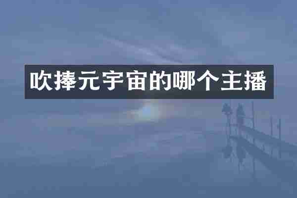 吹捧元宇宙的哪个主播