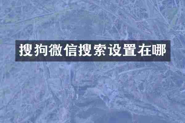 搜狗微信搜索设置在哪