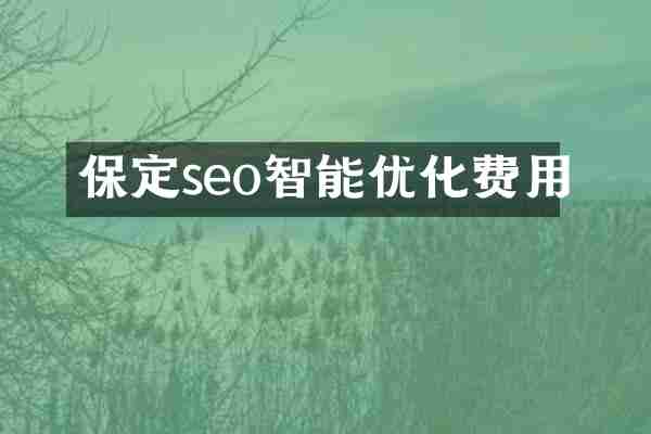 保定seo智能优化费用