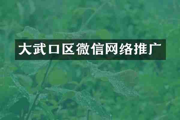 大武口区微信网络推广