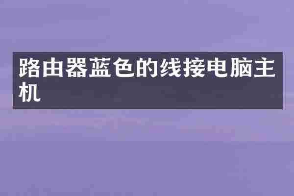 路由器蓝色的线接电脑主机