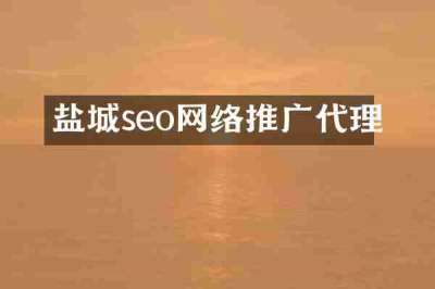 盐城seo网络推广代理